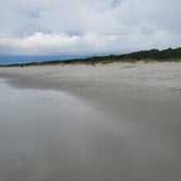 Review photo of Myrtle Beach State Park Campground by Brian C., July 27, 2021