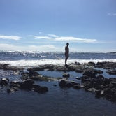 Review photo of Punalu`u Beach Park by Molly B., June 16, 2018