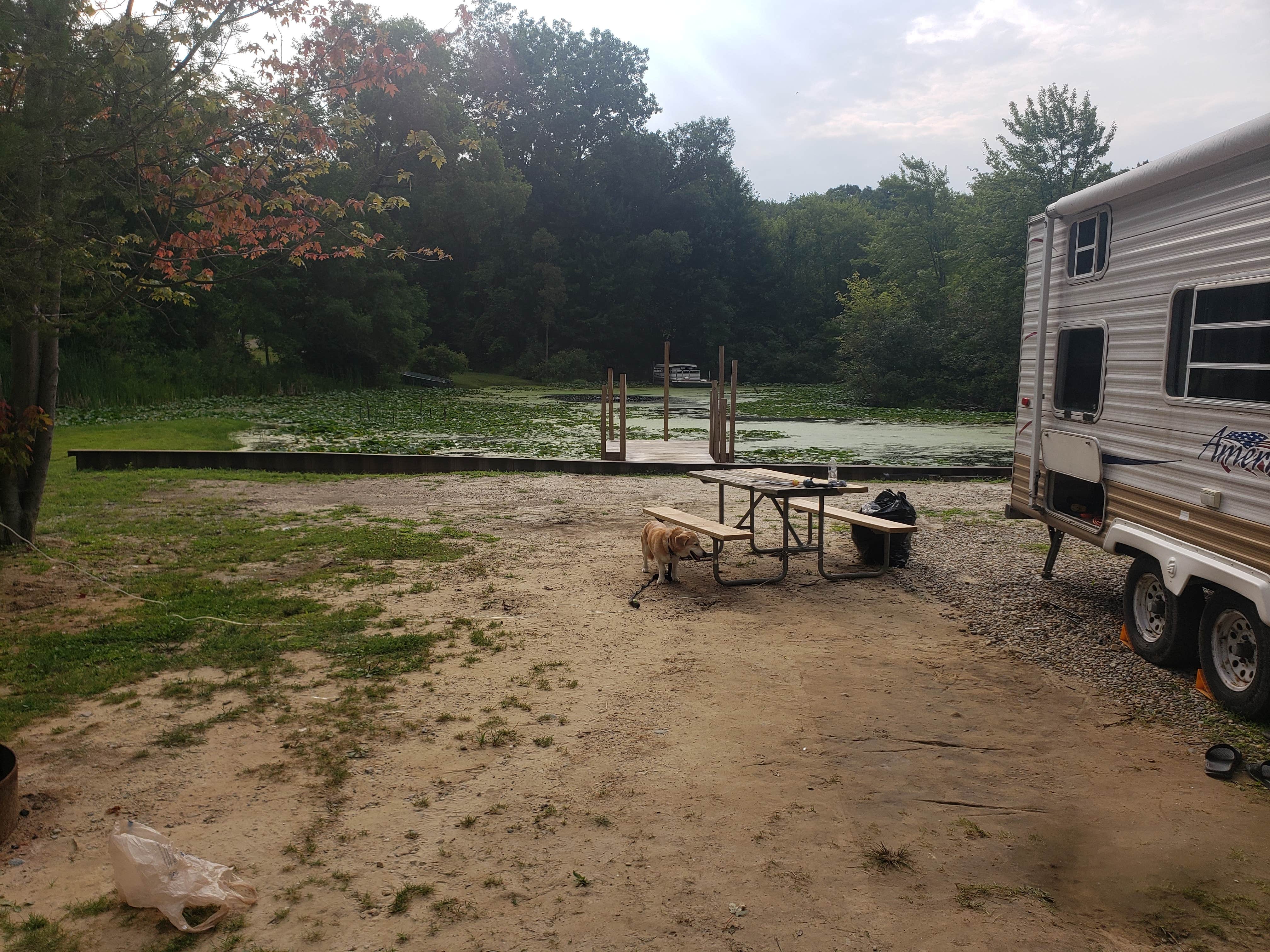 Camper-submitted photo at Genesee Otter Lake Campground near New Hudson, MI