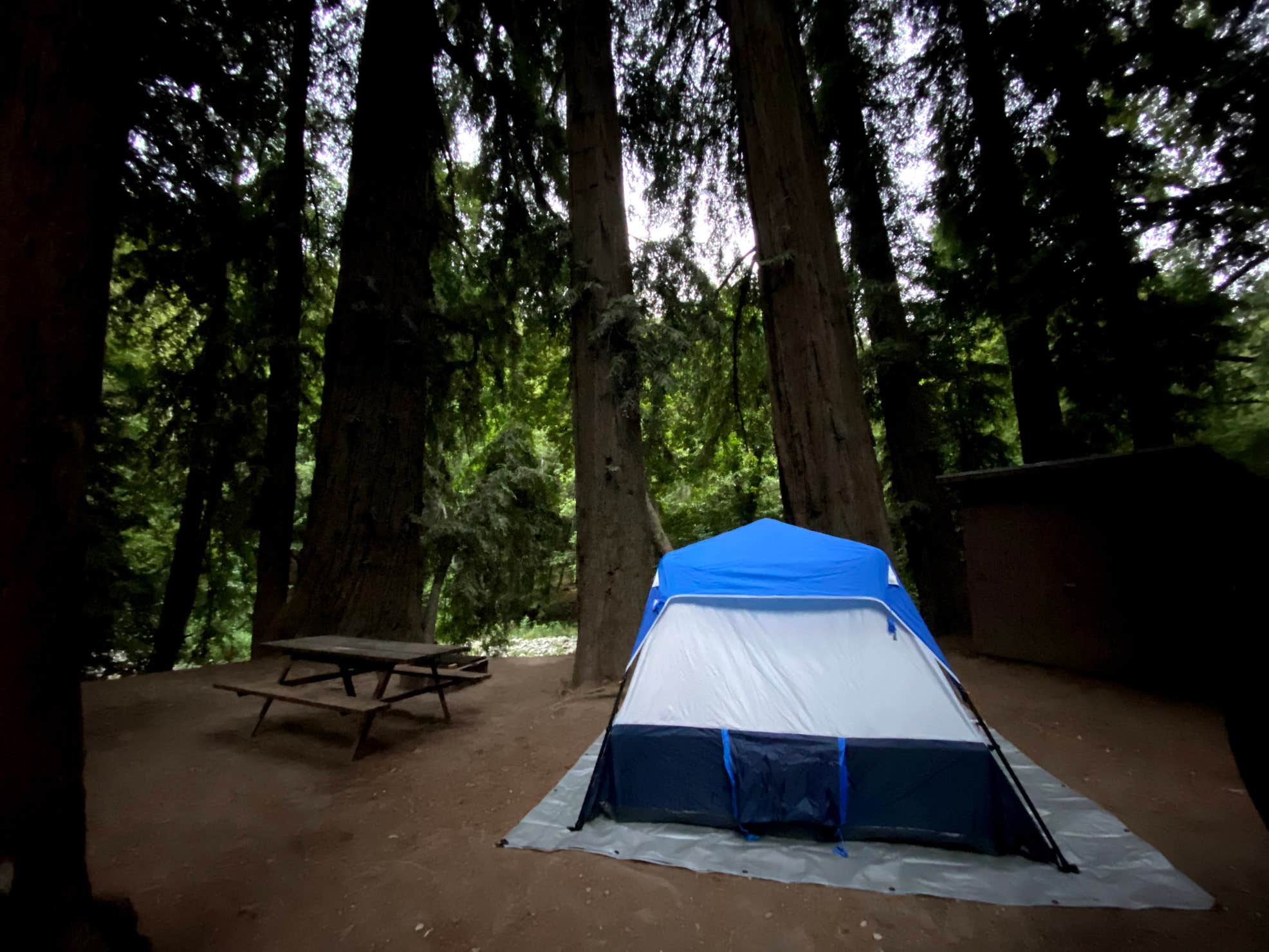 Fernwood Campground & Resort The Dyrt