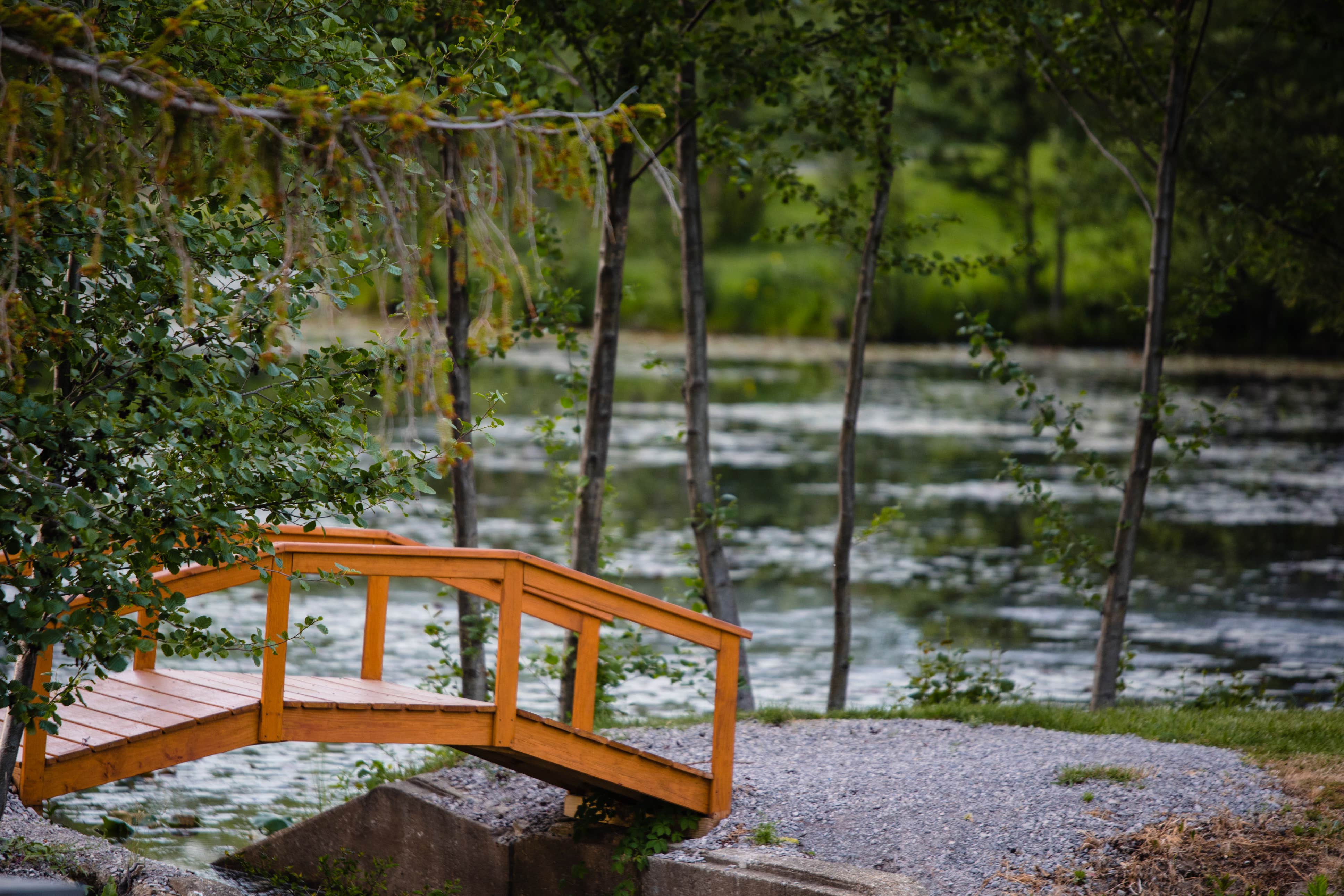 Camper submitted image from Hearthside Grove Lake Erie - 5