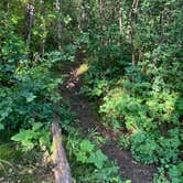 Review photo of Difficult Campground by Alma L., July 27, 2021