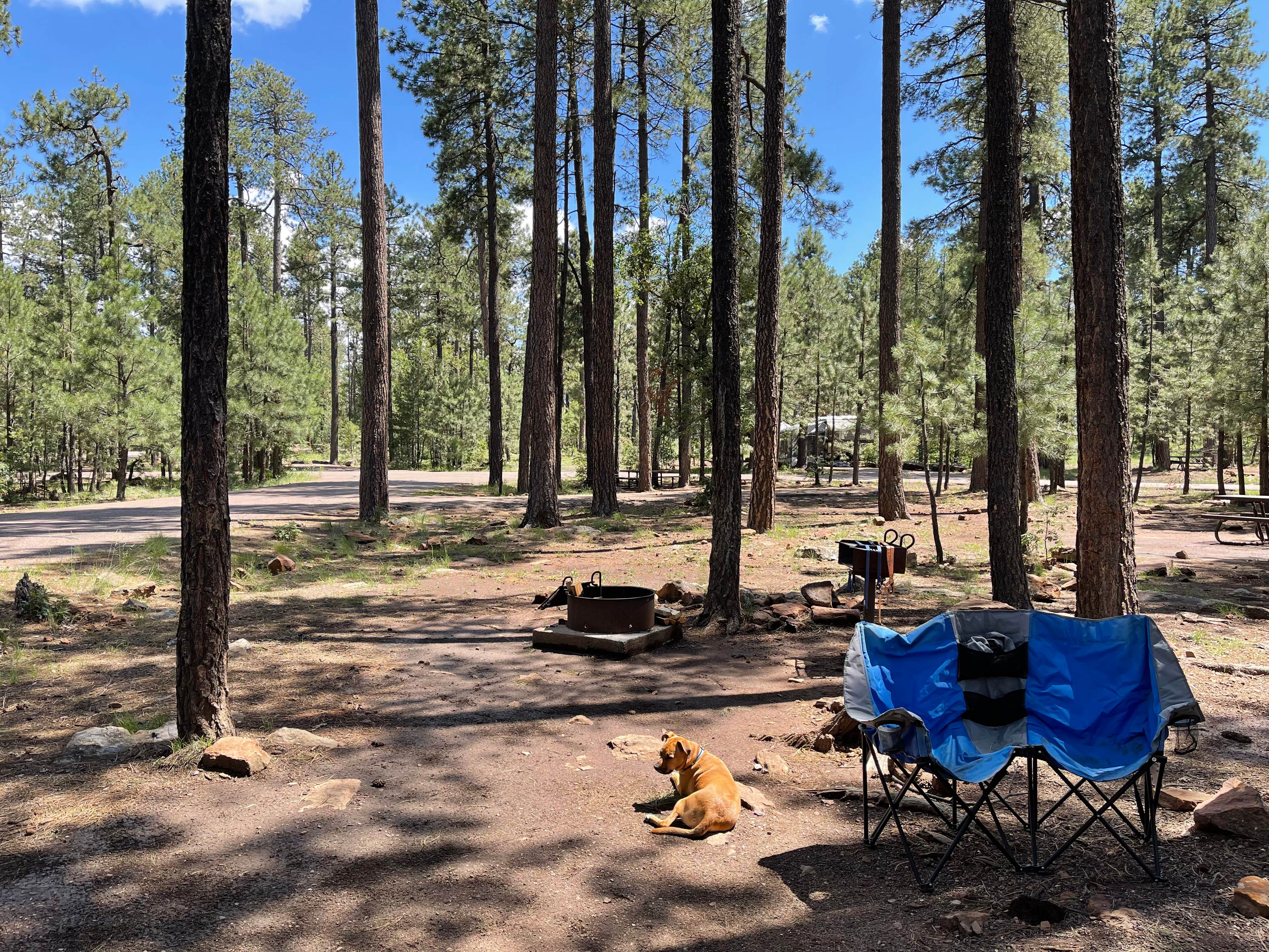 Camper submitted image from Sitgreaves National Forest Woods Canyon Group Campground - 3