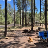 Review photo of Sitgreaves National Forest Woods Canyon Group Campground by Raymond H., July 27, 2021