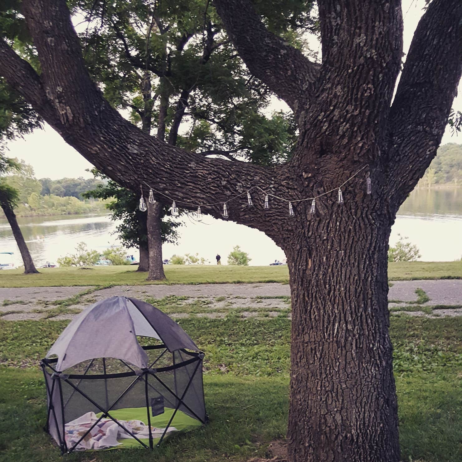 Ricci F.'s photo at Hermitage Area Campground — Pomme de Terre State Park near Pleasant Hope, MO