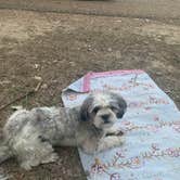 Review photo of Cottonwood Campground — Theodore Roosevelt National Park by Karla , July 27, 2021