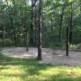 Review photo of St. Joe State Park Campground by Grant M., July 27, 2021