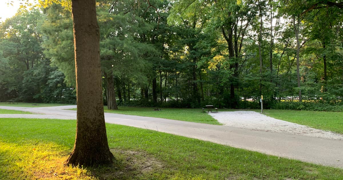 Illinois photo 3