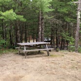 Review photo of Shawme Crowell State Forest by Jae H., July 28, 2021