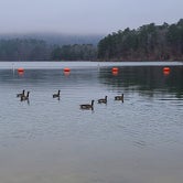 Review photo of COE Lake Ouachita Crystal Springs Campground by Angie S., July 28, 2021
