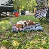 Review photo of Fall Creek Falls State Park Campground by Brandy C., July 28, 2021