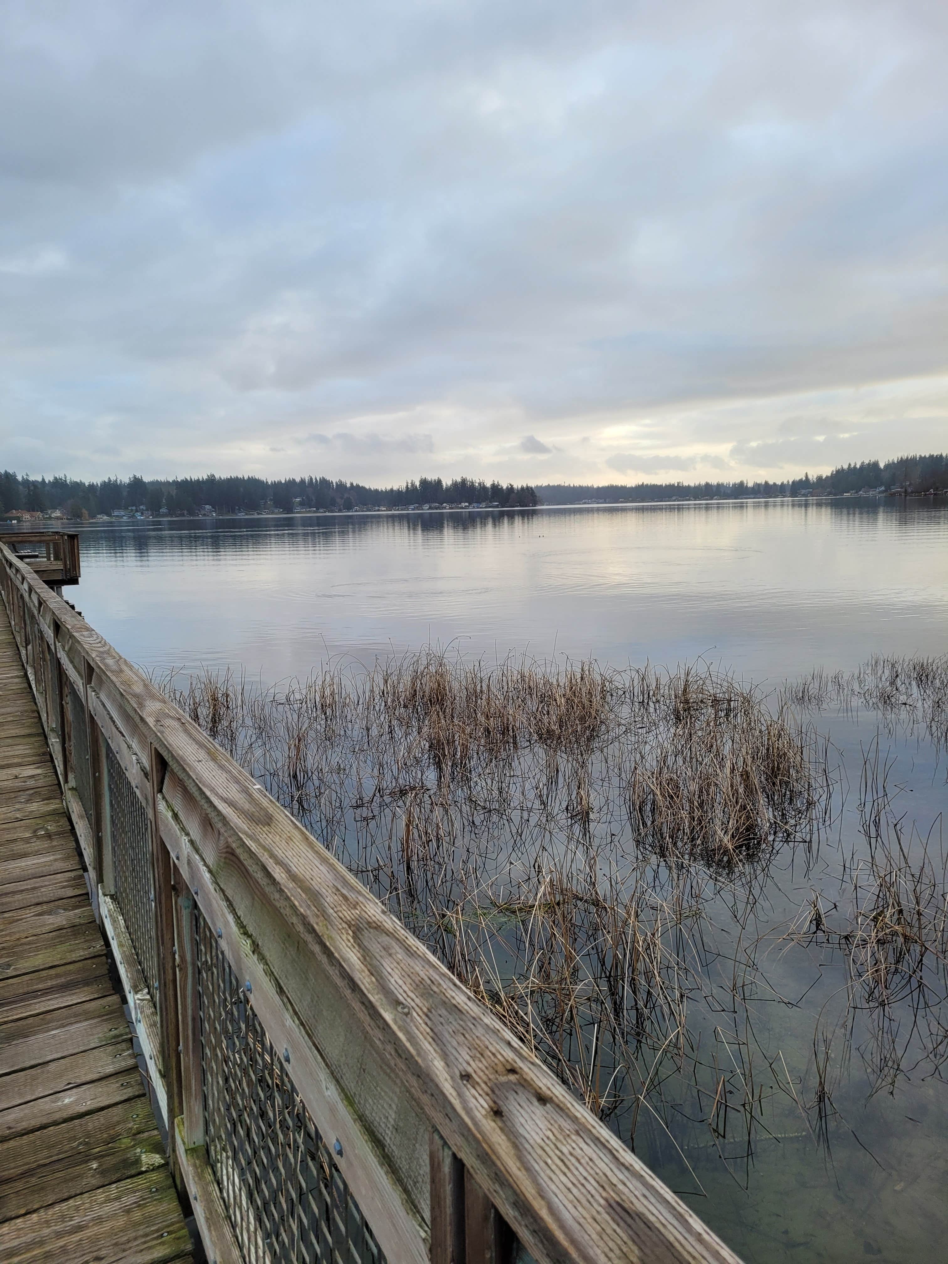 Camper-submitted photo at Cedar Grove Shores RV Park near Clinton, WA
