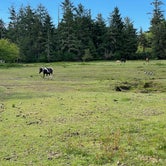 Review photo of Sea Ranch Resort by Gary S., July 28, 2021