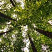 Review photo of Cosby Campground — Great Smoky Mountains National Park by Vanessa F., July 28, 2021