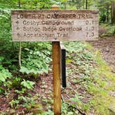 Review photo of Cosby Campground — Great Smoky Mountains National Park by Vanessa F., July 28, 2021