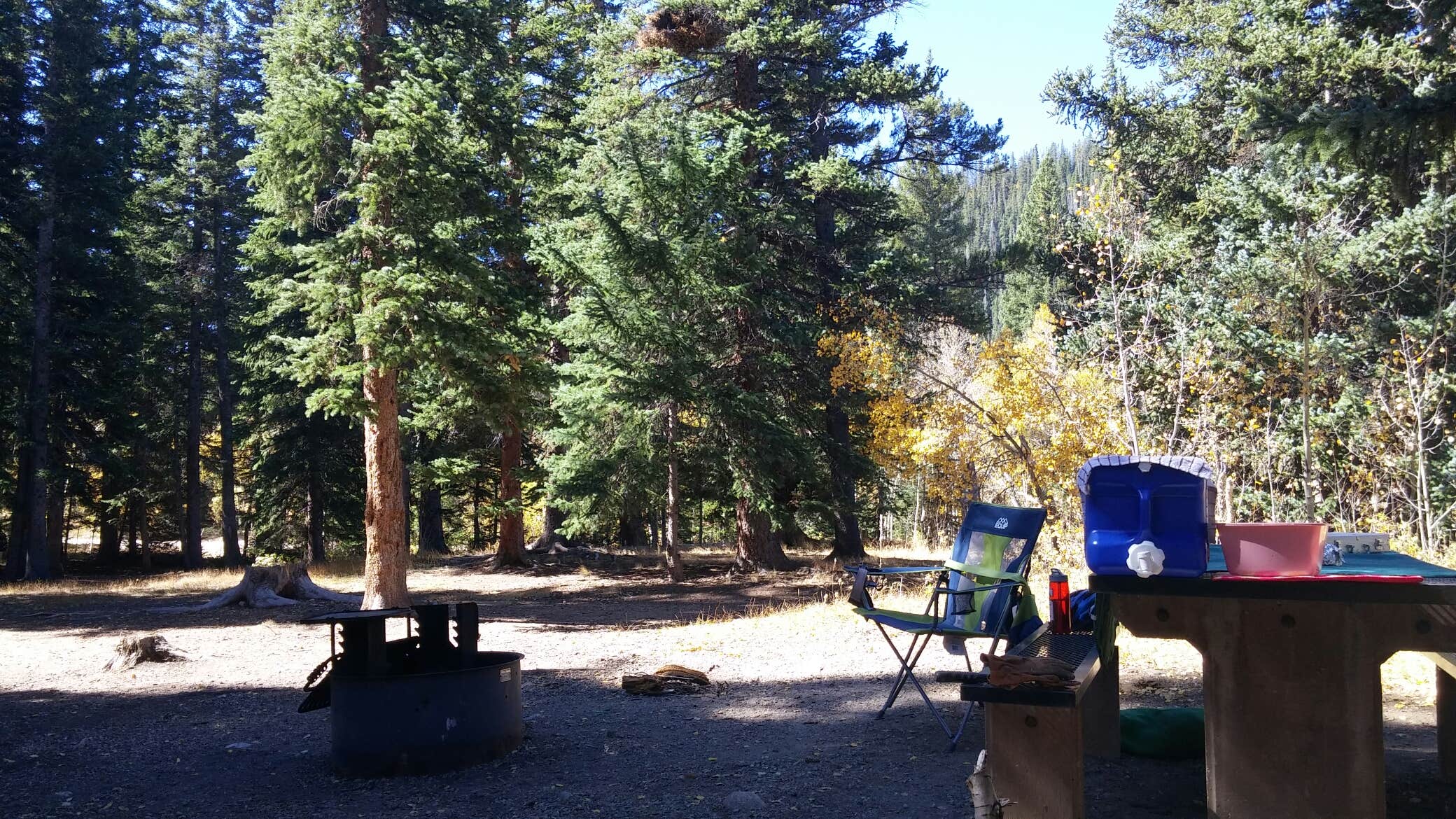 Escape to the Aspen Glow: Your Guide to Colorado's Aspen Glen Campground