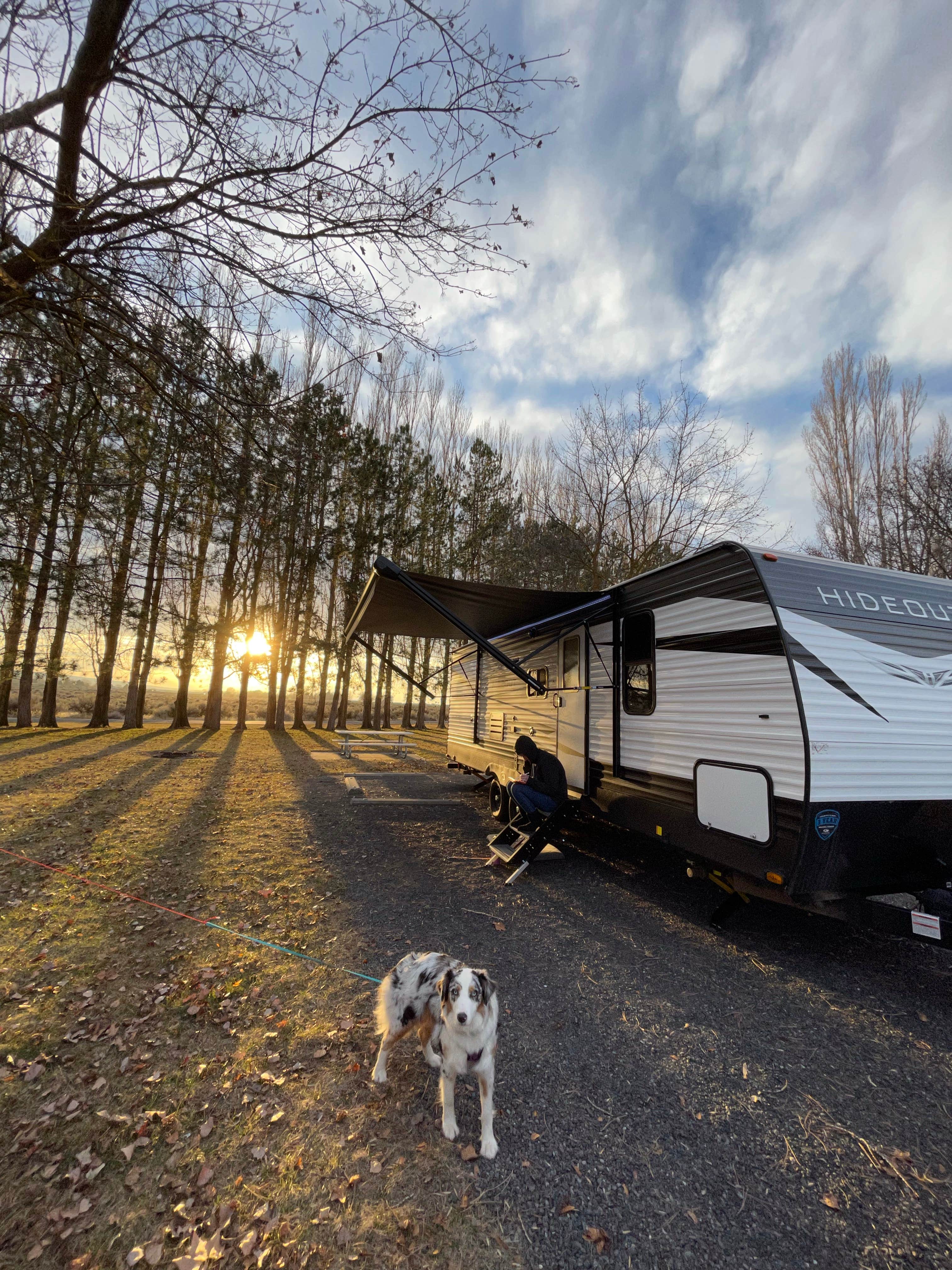 Gary S.'s photo of camping with pets at Potholes State Park Campground near Moses Lake, WA