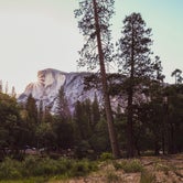 Review photo of Lower Pines Campground — Yosemite National Park by John P., July 28, 2021