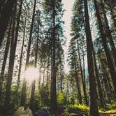 Review photo of Lower Pines Campground — Yosemite National Park by John P., July 28, 2021