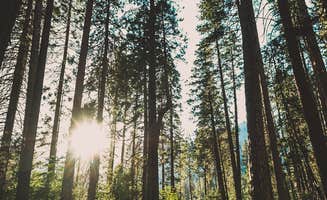 John P.'s photo at Lower Pines Campground — Yosemite National Park near Yosemite National Park