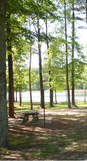 Camper submitted image from Mckinney Campground - 2