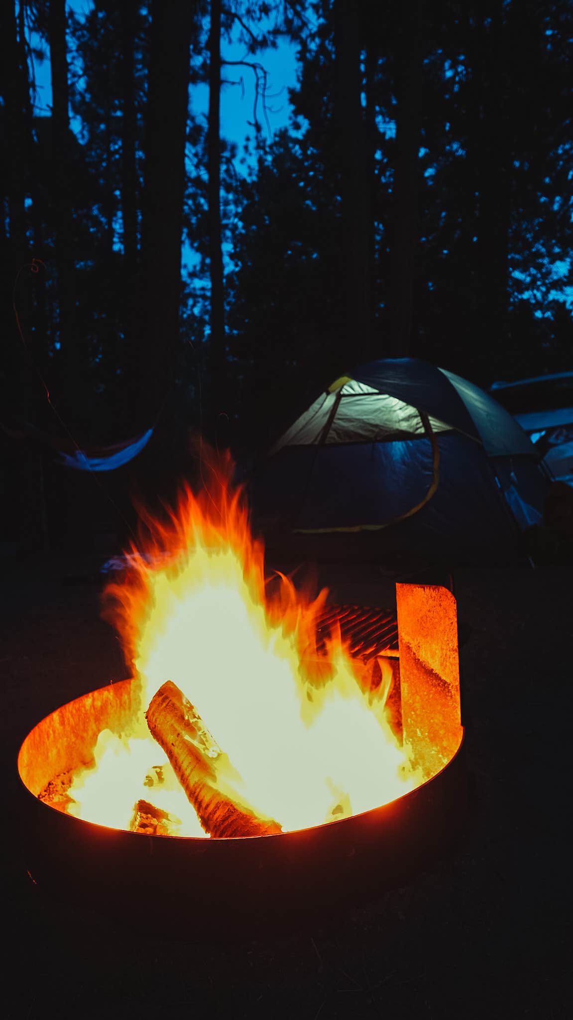 John P.'s photo at Idyllwild Campground — Mount San Jacinto State Park near Idyllwild-Pine Cove, CA