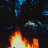 Review photo of Idyllwild Campground — Mount San Jacinto State Park by John P., July 28, 2021