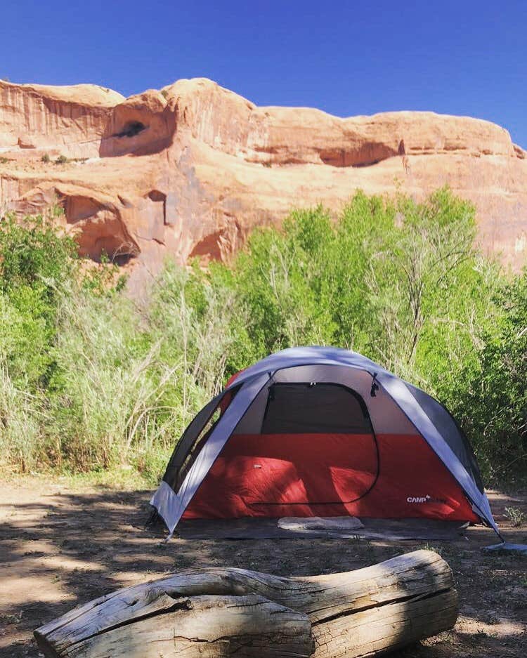 Halee E.'s photo at King's Bottom Campground near Moab, UT
