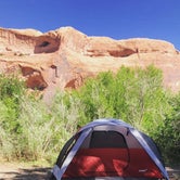 Review photo of King's Bottom Campground by Halee E., June 16, 2018