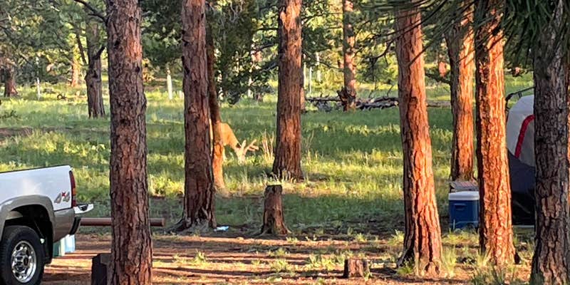 Camper submitted image from Meridian Campground