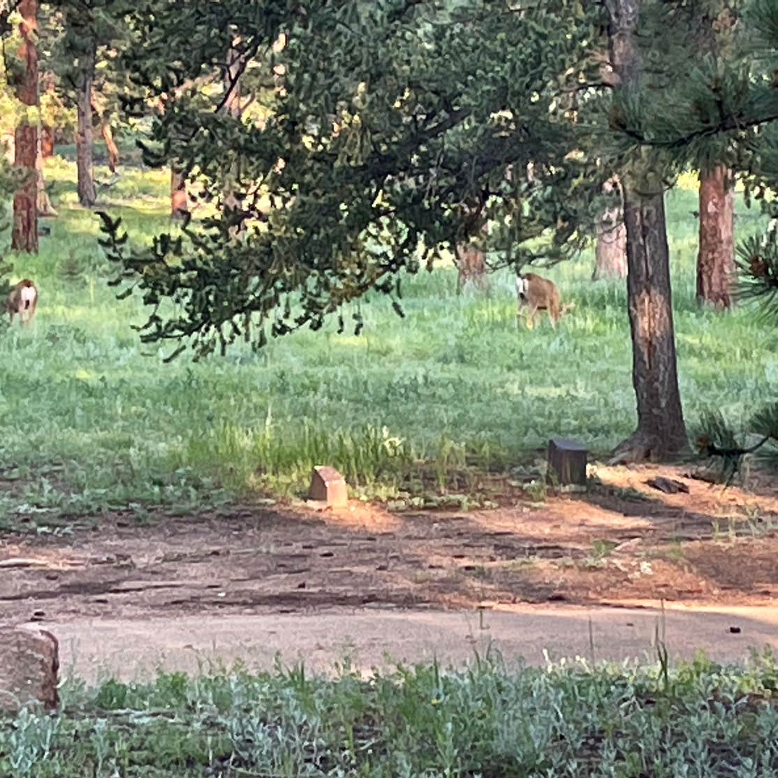 Meridian Campground | The Dyrt
