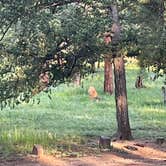 Review photo of Meridian Campground by Michael D., July 28, 2021