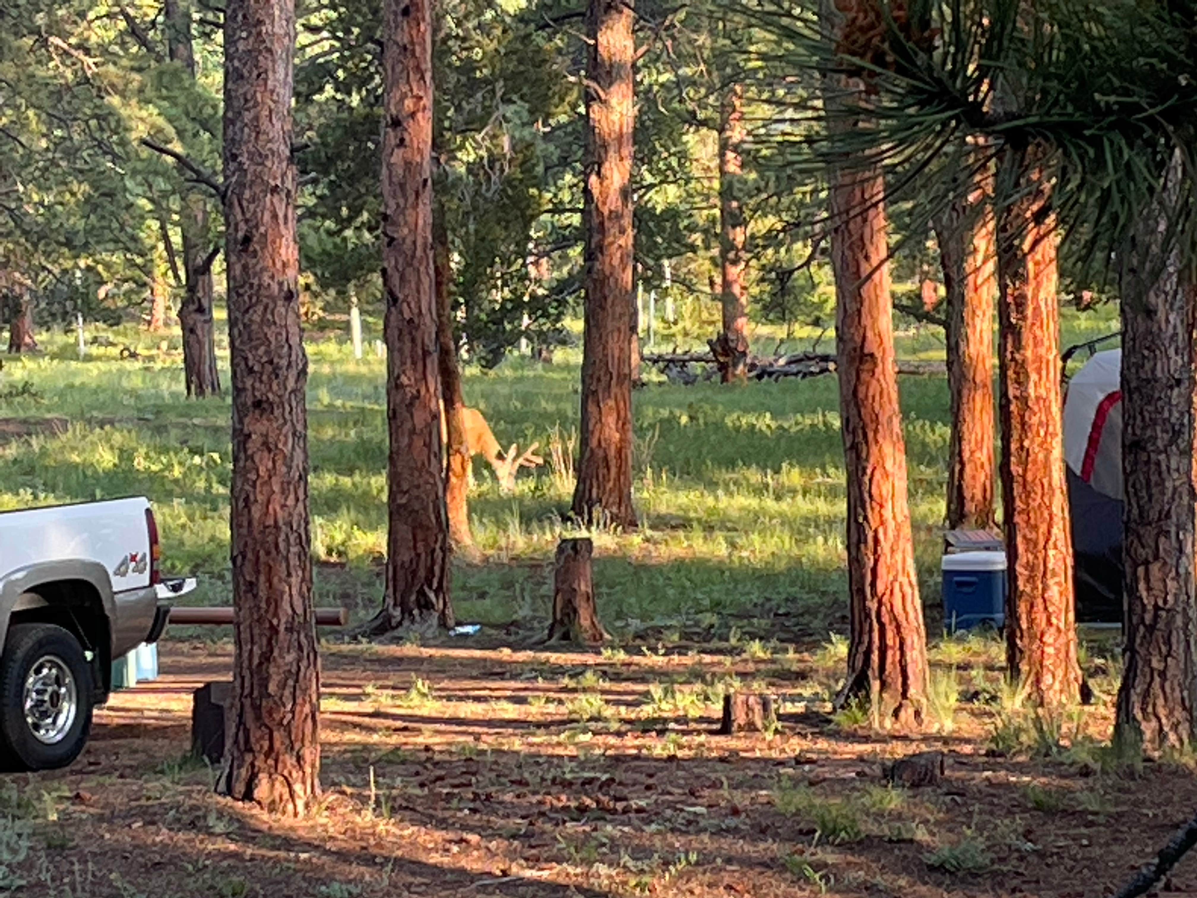 Meridian Campground | The Dyrt