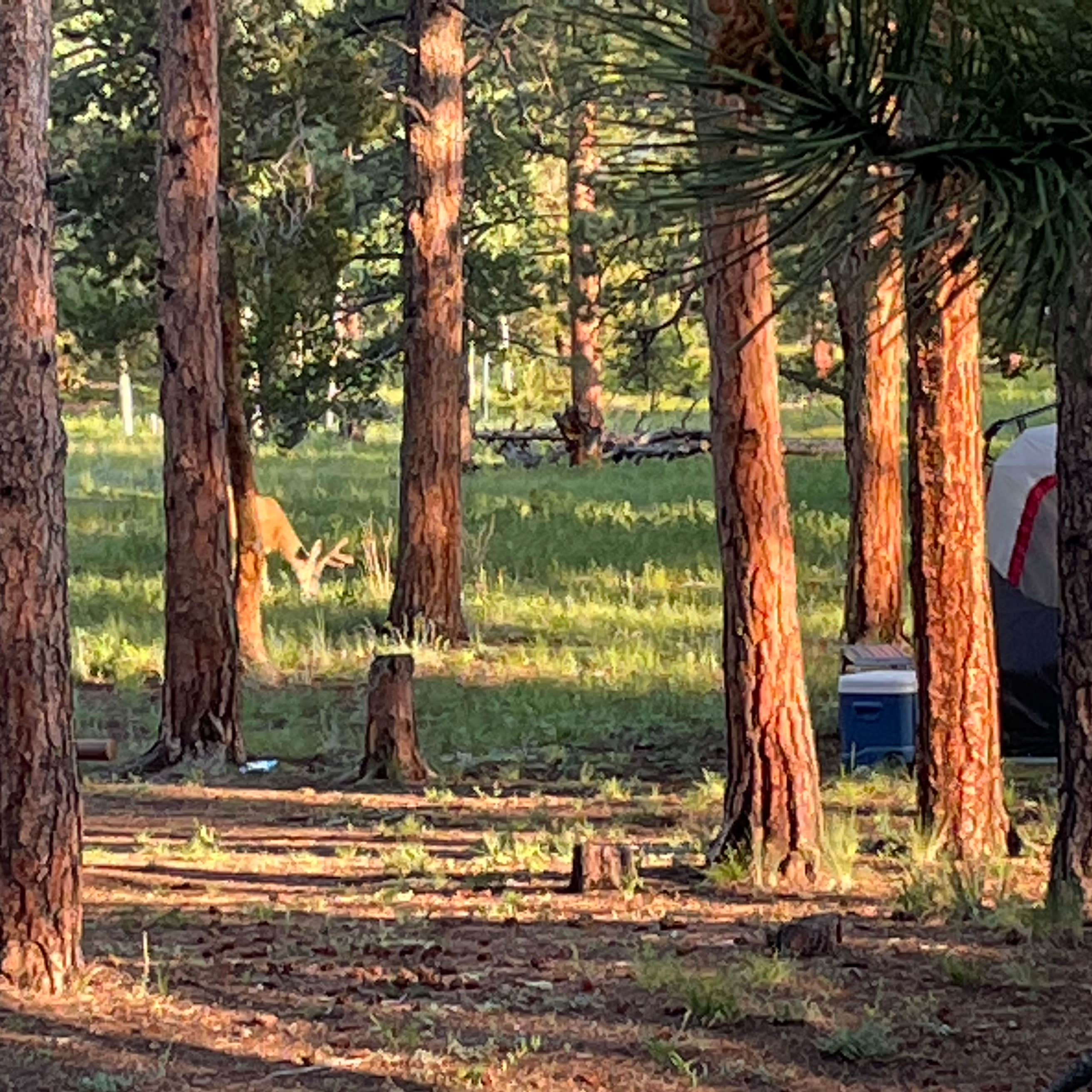 Meridian Campground | The Dyrt