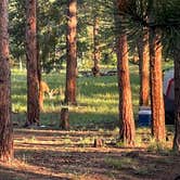 Review photo of Meridian Campground by Michael D., July 28, 2021