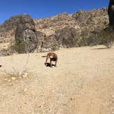 Review photo of Sawtooth Canyon Campground by Leslie R., June 16, 2018