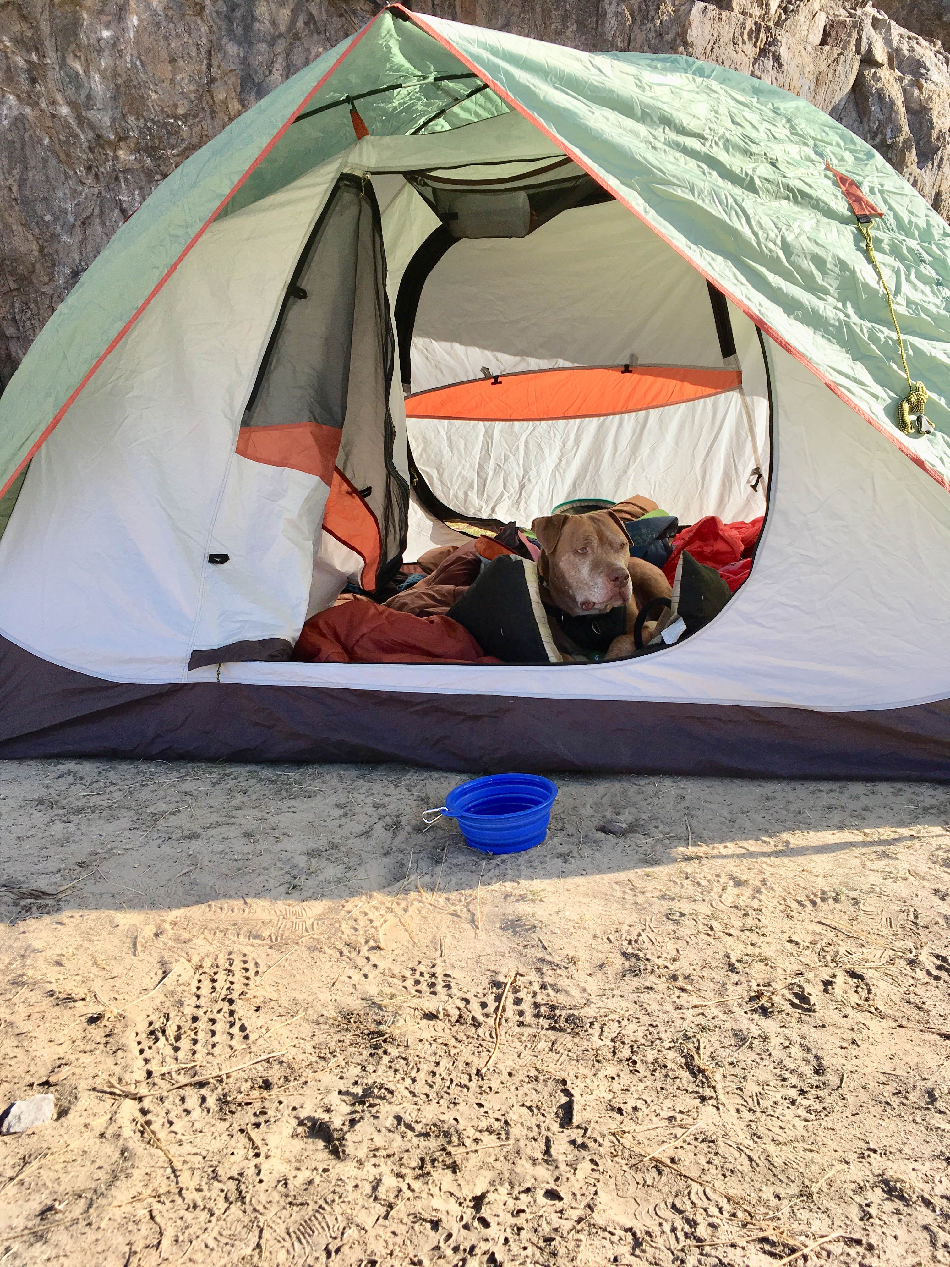 Les R.'s photo at Sawtooth Canyon Campground near Barstow, CA
