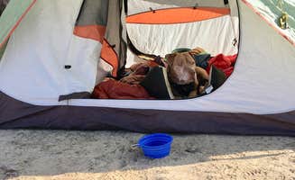 Les R.'s photo at Sawtooth Canyon Campground near Barstow, CA