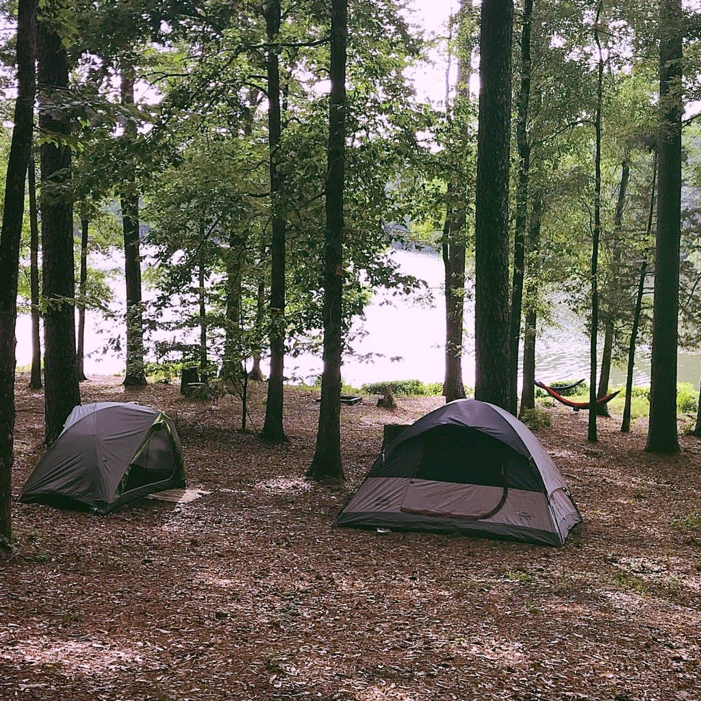 Camper submitted image from Roosevelt State Park Campground - 4