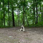 Review photo of Northern Lights - Devils Lake State Park by Jeff & Justin H., July 28, 2021