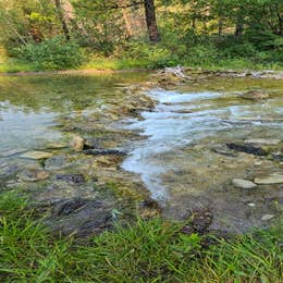 Logging Creek