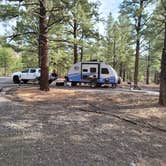 Review photo of Bonito Campground — Sunset Crater National Monument by Brad B., June 10, 2020