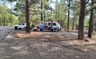 Brad B.'s photo at Bonito Campground — Sunset Crater National Monument near Gray Mountain, AZ