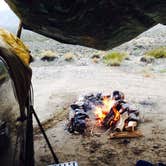 Review photo of Furnace Creek Campground — Death Valley National Park by Isaac O., June 16, 2018