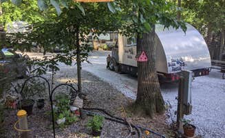 Lori's photo of rv camping at D&J Shady Rest Campground near Rock Hall, MD