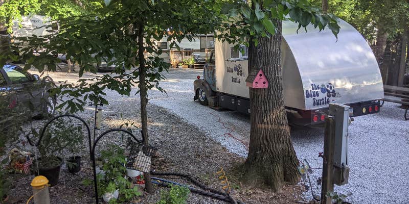 Camper submitted image from D&J Shady Rest Campground