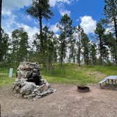 Review photo of Stockade South Campground — Custer State Park by Shana D., July 28, 2021