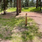 Review photo of Stockade Lake S - Custer State Park by Shana D., July 28, 2021