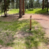 Review photo of Stockade South Campground — Custer State Park by Shana D., July 28, 2021
