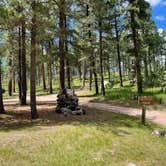 Review photo of Stockade Lake S - Custer State Park by Shana D., July 28, 2021